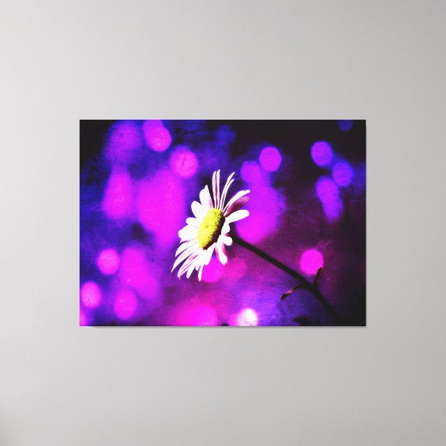 Pink N Amethyst Daisy Lienzo envuelto (Anverso)