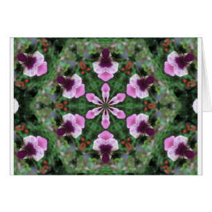 Pink Pansy
