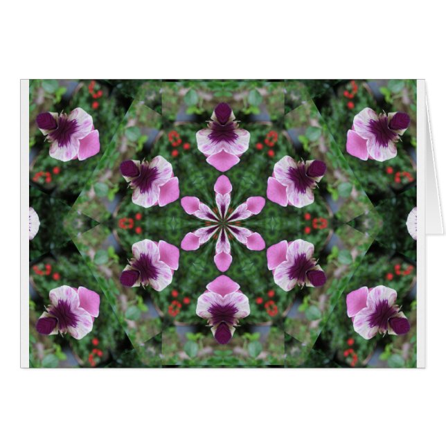 Pink Pansy (Anverso (Horizontal))