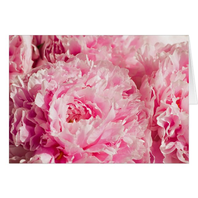 Pink Peony Bouquet (Anverso (Horizontal))