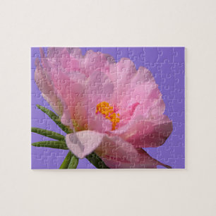Pink Peony Jigsaw Puzzle