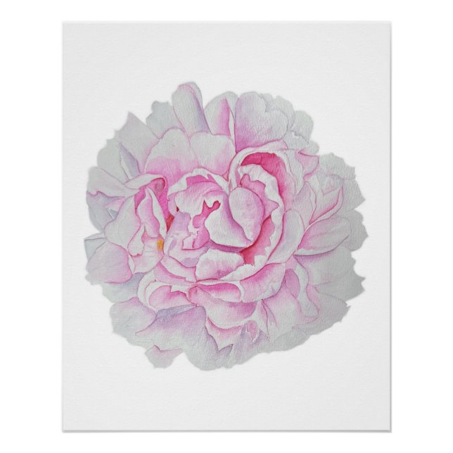 Pink Peony Watercolor Flower Poster (Anverso)