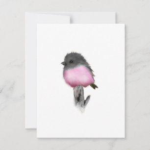 Pink Robin Bird Gracias Cartas De Nota