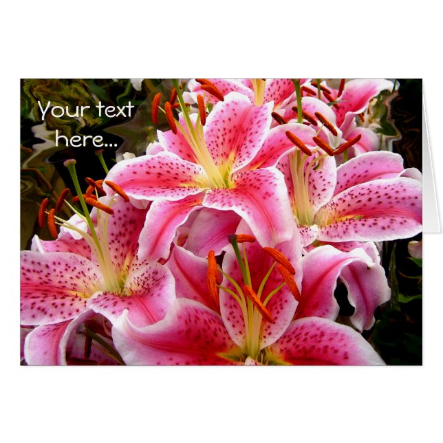 Pink Stargazer Lilies (Anverso (Horizontal))