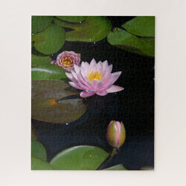 Pink Waterlilies Puzzle (Vertical)