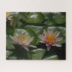 Pink Waterlilies Puzzle