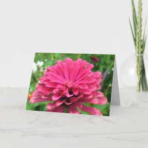 Pink Zinnia - Tarjeta de cumpleaños