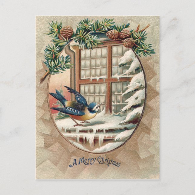 Pino Árbol de Navidad Pájaro Cono (Anverso)