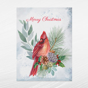 Pino Rojo Cardenal Verdor Navidad