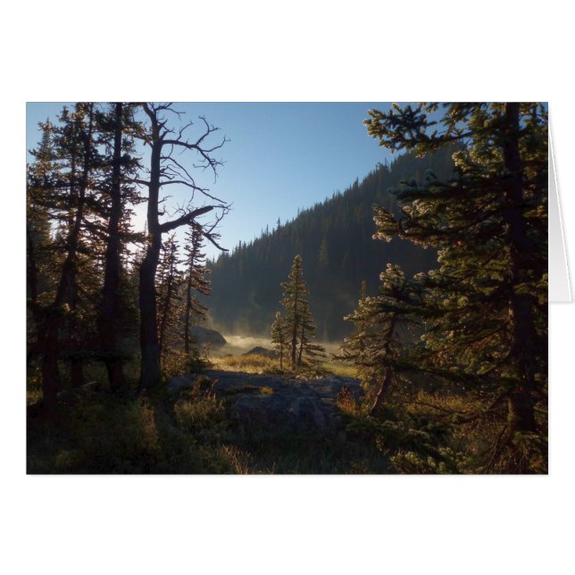 Pinos escarpados al sol en el lago Dream (Anverso (Horizontal))