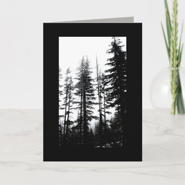pinos fotográficos en blanco y negro de la nota de (Anverso)