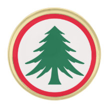 Pin de pino de Nueva Inglaterra