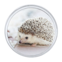 Animal de peluche para bebés