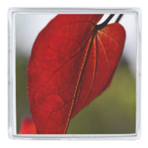 Pin rojo de la solapa de la hoja