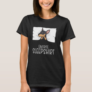 Pinscher de la camisa favorita, perrito de Pinsche