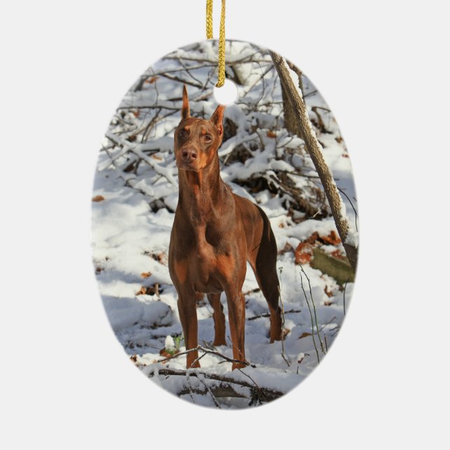 Pinscher del Doberman en el ornamento de la nieve (Atrás)