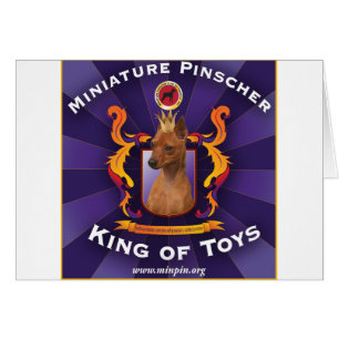Pinscher miniatura: Rey de juguetes
