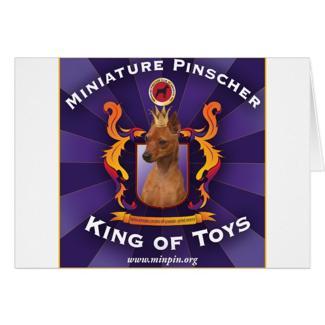 Pinscher miniatura: Rey de juguetes (Anverso (Horizontal))