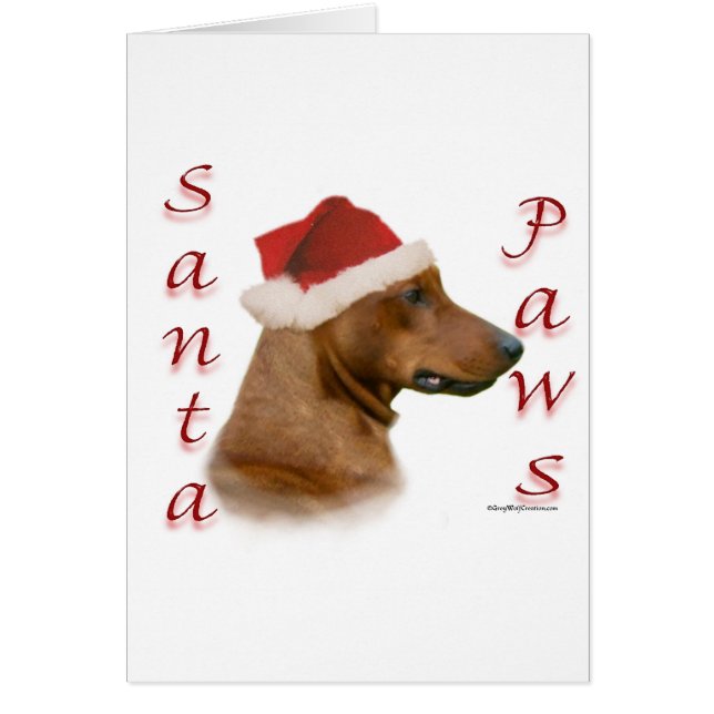 Pinscher Santa Paws de Alemania (Frente)