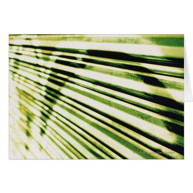 Pintada en un obturador (Anverso (Horizontal))