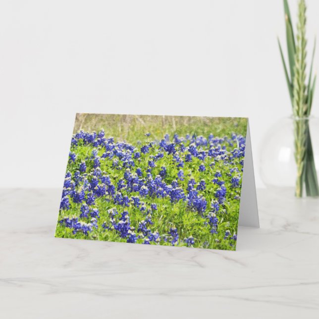 Pintado Bluebonnets 1 Tarjeta de escritura Isaías  (Anverso)