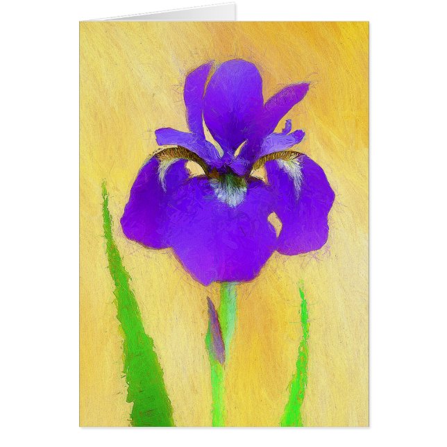 Pintado de iris morado - Perro original curado A (Frente)
