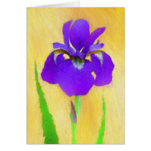 Pintado de iris morado - Perro original curado A