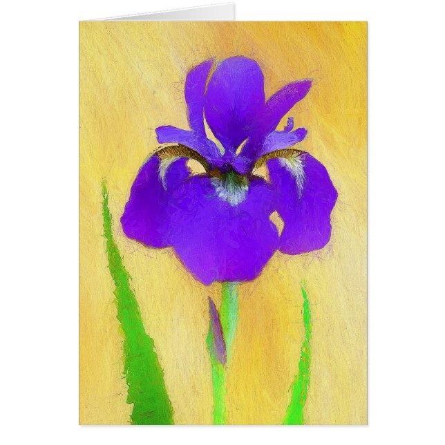 Pintado de iris morado - Perro original curado A (Frente)