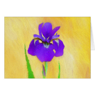 Pintado de iris morado - Perro original curado A