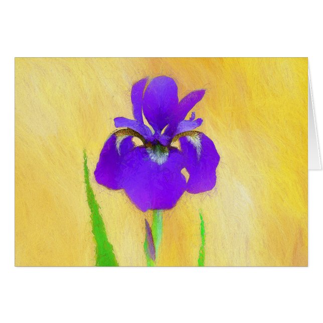 Pintado de iris morado - Perro original curado A (Anverso (Horizontal))