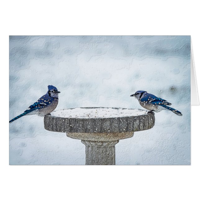 Pintado de lados opuestos (Anverso (Horizontal))