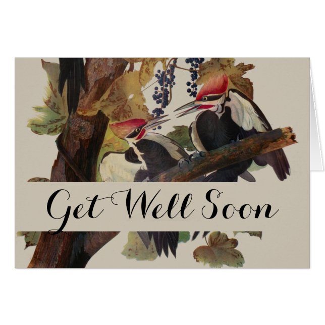 Pintado de pájaro carpintero con basculante Audubo (Anverso (Horizontal))