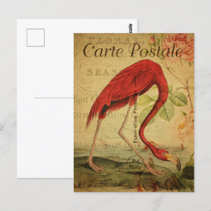 Pintado de postales Flamingo Vintage