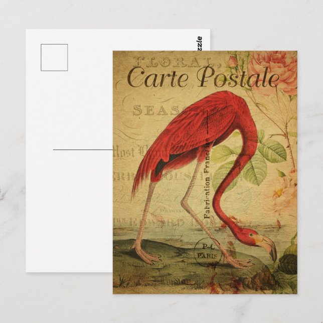 Pintado de postales Flamingo Vintage (Anverso / Reverso)