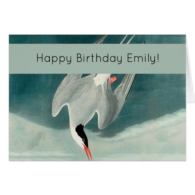 Pintado de vida silvestre del Ártico Tern Audubon (Anverso (Horizontal))