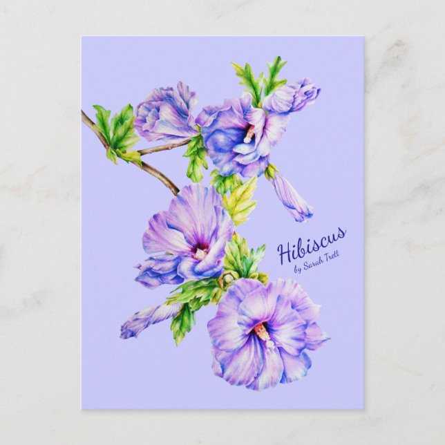 Pintado Hibiscus syriacus postal de arte fino azul (Anverso)