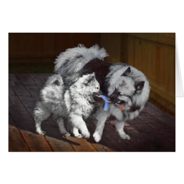 Pintado Keeshond Playtime - Arte Perro Original. (Anverso (Horizontal))