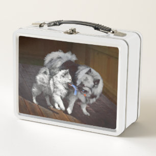 Pintado Keeshond Playtime - Arte Perro Original.