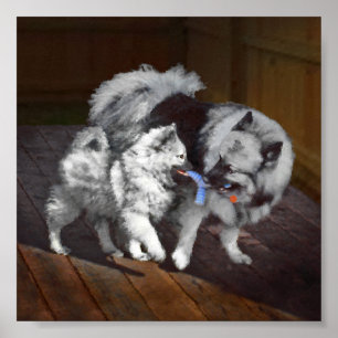Pintado Keeshond Playtime - Arte Perro Original.
