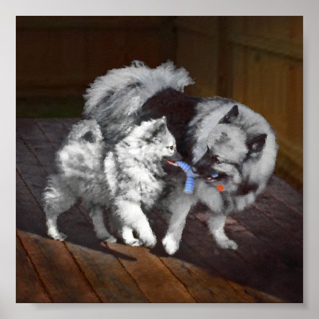 Pintado Keeshond Playtime - Arte Perro Original. (Frente)