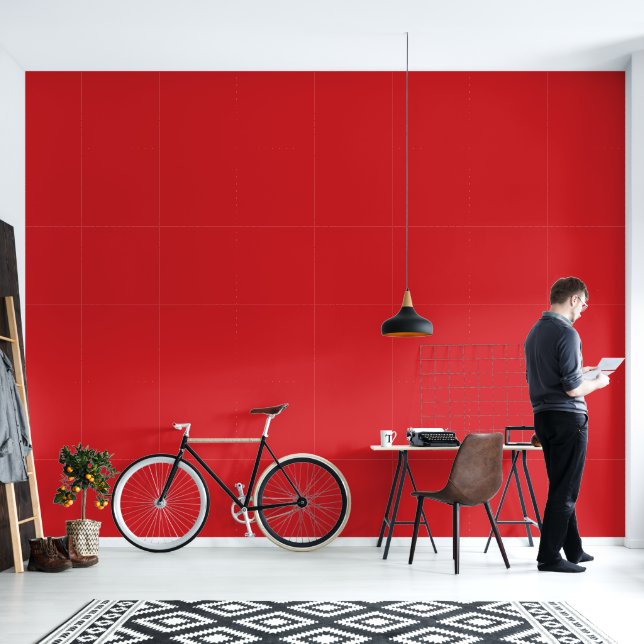 PINTADO PAPEL ROJO (Sala de estar)