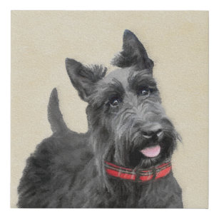 Pintado Terrier Escocés - Arte Perro Original