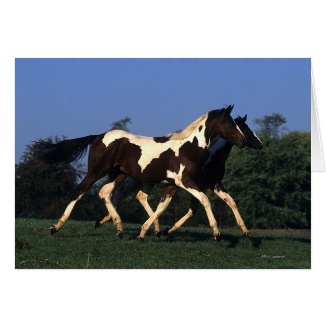 Pintar años en ejecución (Anverso (Horizontal))