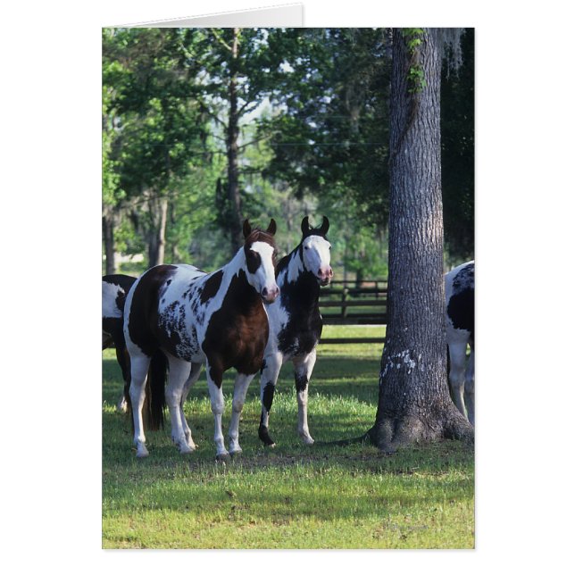 Pintar caballos en los árboles (Frente)