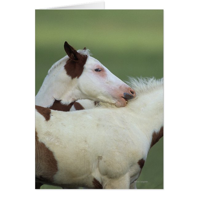 Pintar los rostros jugando (Frente)