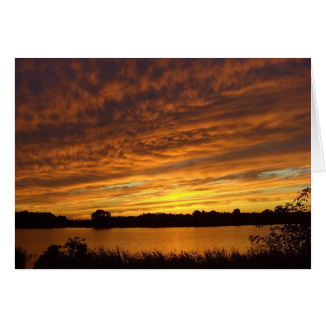 Pintarlo naranja (Anverso (Horizontal))