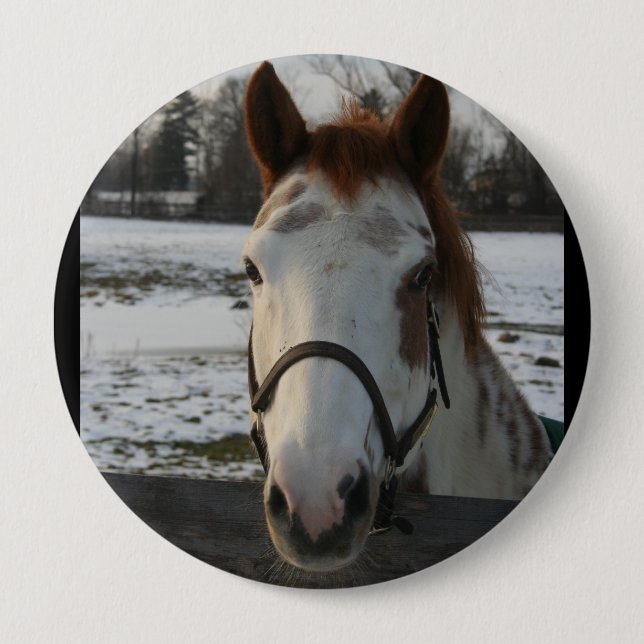 Pinte el botón (Anverso)