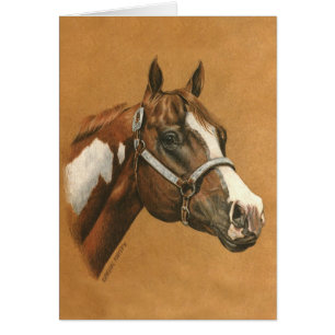 Pinte el caballo