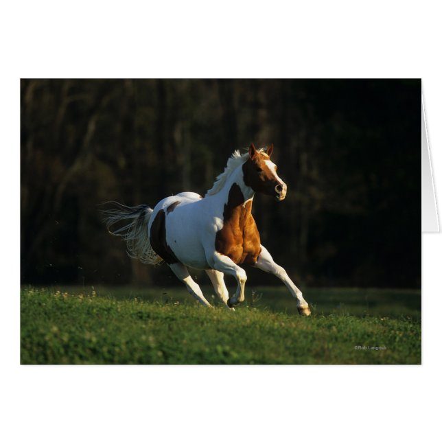 Pinte el caballo que corre rápidamente (Anverso (Horizontal))