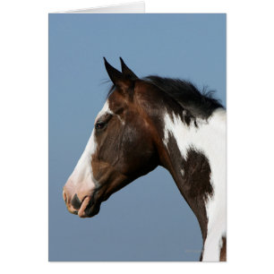 Pinte el Headshot 1 del caballo